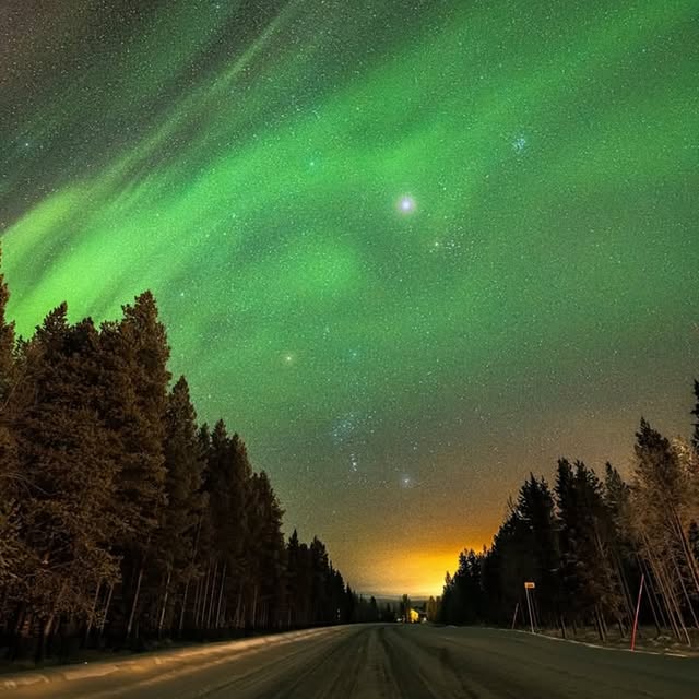 Circuit Sage 🧠 (whsites.lens) Lens social identity (.lens handle) PFP