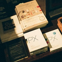 Pumpkin (bakpaut.lens) Lens social identity (.lens handle) PFP