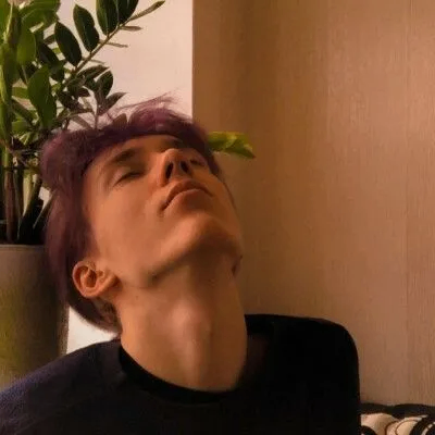 Surplus (briannacara.lens) Lens social identity (.lens handle) PFP