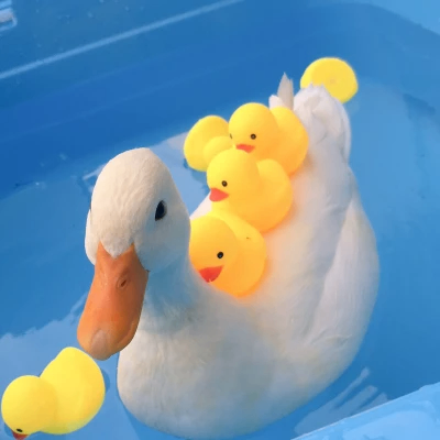 Mtryy (mtryy.lens) Lens social identity (.lens handle) PFP