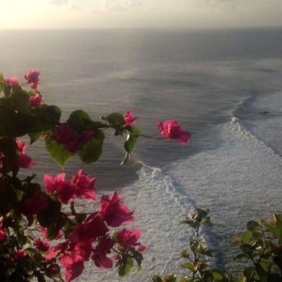 Viisualarts (viisualarts.lens) Lens social identity (.lens handle) PFP