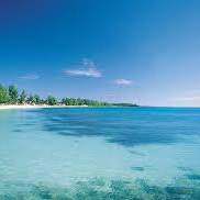 kiaa (kiaaa.lens) Lens social identity (.lens handle) PFP