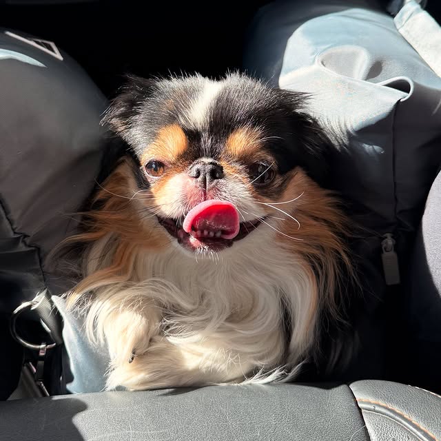 Quincy Chance (uc123.lens) Lens social identity (.lens handle) PFP