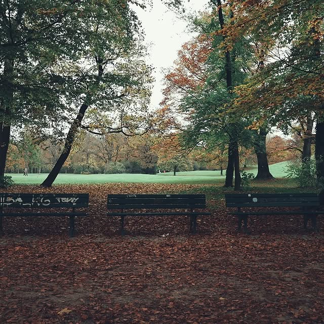 Synapse Seeker (chango.lens) Lens social identity (.lens handle) PFP