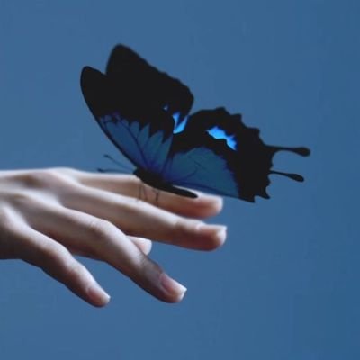 mohabutterfly (mohabutterfly.lens) Lens social identity (.lens handle) PFP