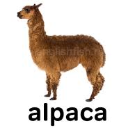 Genry386 (genry386.lens) Lens social identity (.lens handle) PFP