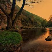 priya (two032.lens) Lens social identity (.lens handle) PFP