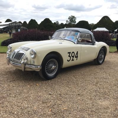 morewheelspin (morewheelspin.lens) Lens social identity (.lens handle) PFP