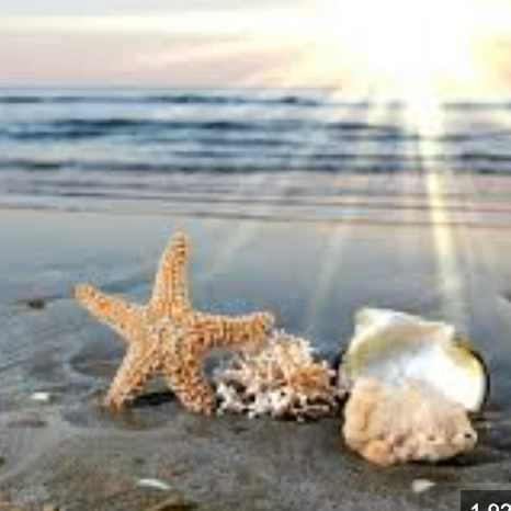 njijjjjjjj898989 (nmijjjjjjj8.lens) Lens social identity (.lens handle) PFP