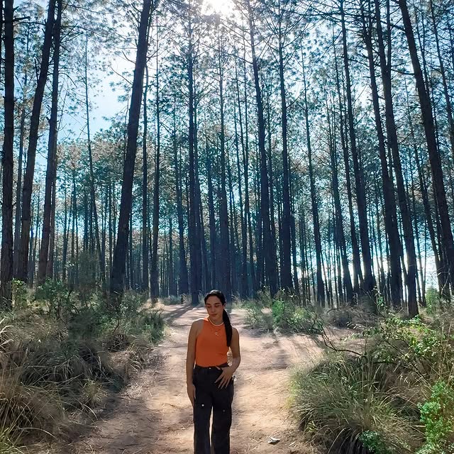 InnovaTech Solutions (connexity.lens) Lens social identity (.lens handle) PFP