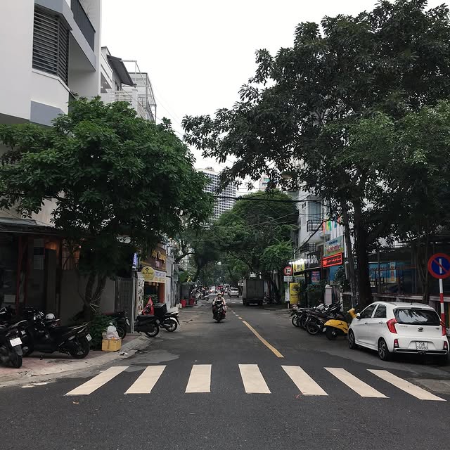 Aurelia Champion (clorox.lens) Lens social identity (.lens handle) PFP