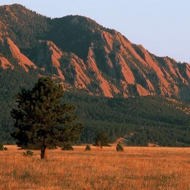 fredlamb (18193.lens) Lens social identity (.lens handle) PFP