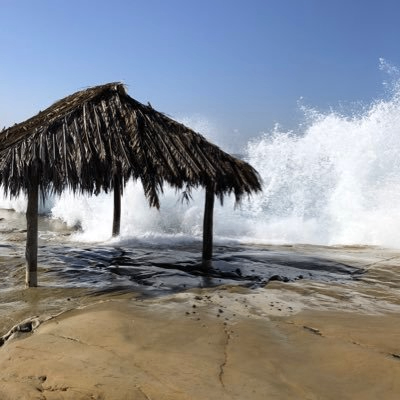 Sal Star (salstar.lens) Lens social identity (.lens handle) PFP