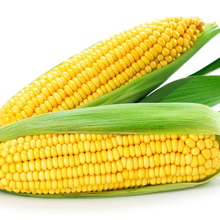 Dushka (dushara.lens) Lens social identity (.lens handle) PFP