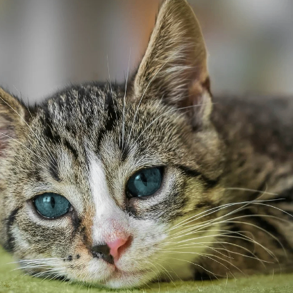 vbtyjhnbjuy (fredaflorence.lens) Lens social identity (.lens handle) PFP