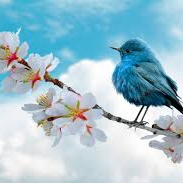 Bhanu (unahb.lens) Lens social identity (.lens handle) PFP