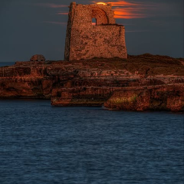 MindCraft Insights (trw12.lens) Lens social identity (.lens handle) PFP