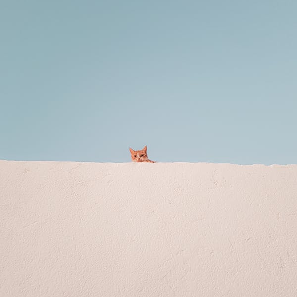 Resonancer (resonancer.lens) Lens social identity (.lens handle) PFP