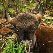 Jason Noyes (jason51.lens) Lens social identity (.lens handle) PFP