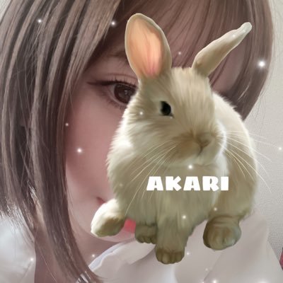 aroma__akari (aromaakari.lens) Lens social identity (.lens handle) PFP