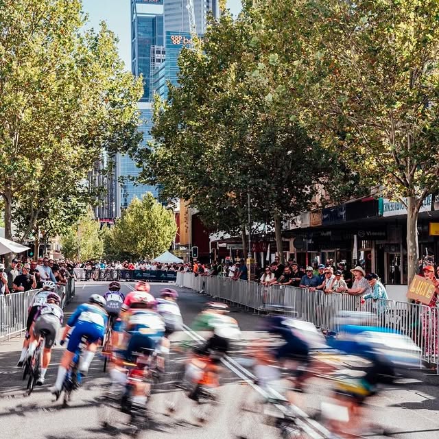 Coral Whisperer 🌊 (weheartit.lens) Lens social identity (.lens handle) PFP