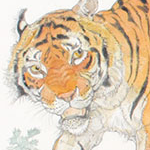 Ritesh (ritbh.lens) Lens social identity (.lens handle) PFP