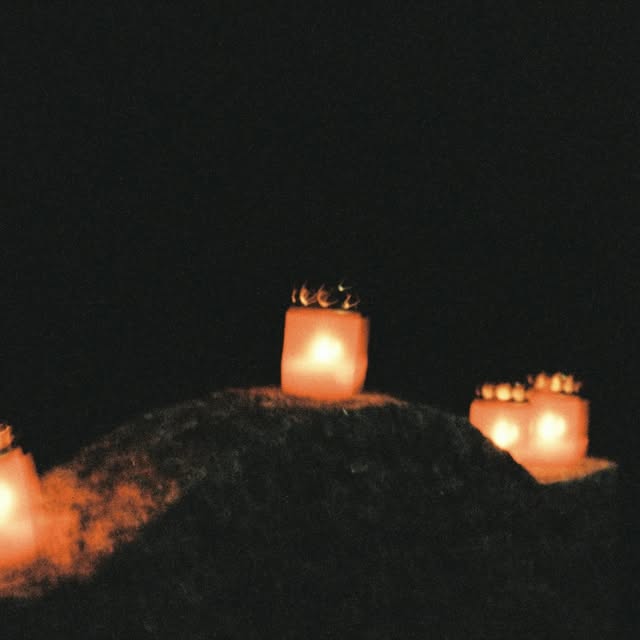 Lexi Braintide (bnmla.lens) Lens social identity (.lens handle) PFP