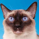 J Cole (jcoleu.lens) Lens social identity (.lens handle) PFP