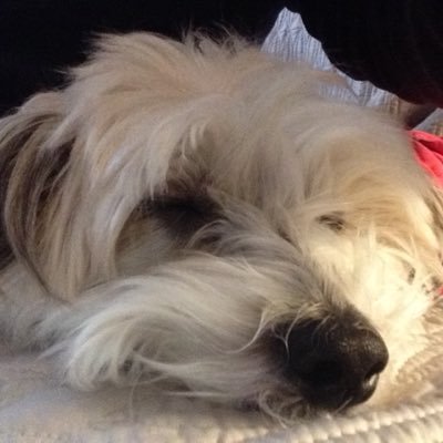 TRADER129 (trader129.lens) Lens social identity (.lens handle) PFP