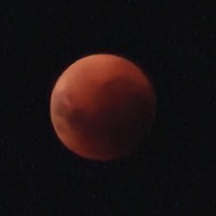 ImagesAlbum (imagesalbum.lens) Lens social identity (.lens handle) PFP