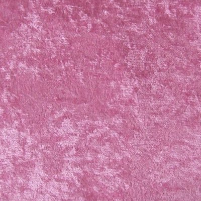 cosypixie (cosypixie.lens) Lens social identity (.lens handle) PFP