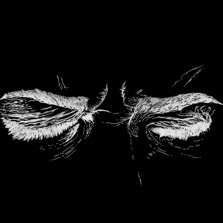 Potts (essexlou.lens) Lens social identity (.lens handle) PFP