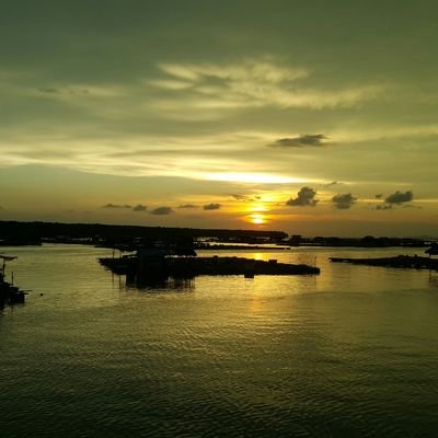 shin54155237 (shin54155237.lens) Lens social identity (.lens handle) PFP