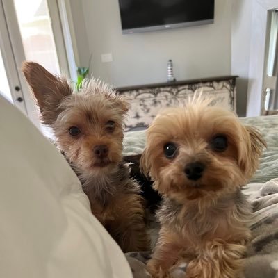 SouthRealtor1 (southrealtor1.lens) Lens social identity (.lens handle) PFP