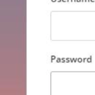 6695 (699666.lens) Lens social identity (.lens handle) PFP