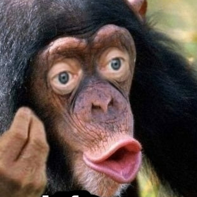 Pugh Madalynn (sivas.lens) Lens social identity (.lens handle) PFP