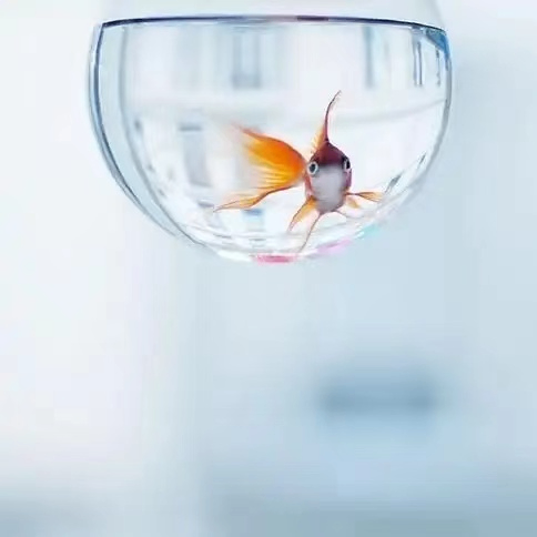 qingqiutaikong (xingqiutaikong.lens) Lens social identity (.lens handle) PFP