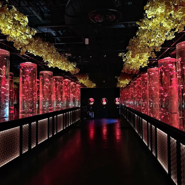 Global Nexus (juiceadv.lens) Lens social identity (.lens handle) PFP