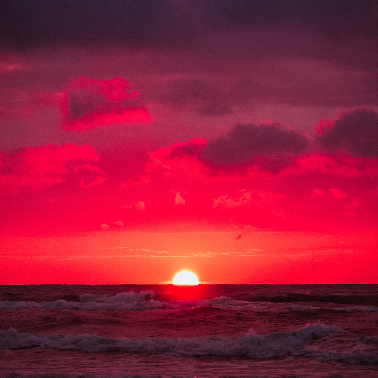 VICE 77 (0xludovico.lens) Lens social identity (.lens handle) PFP