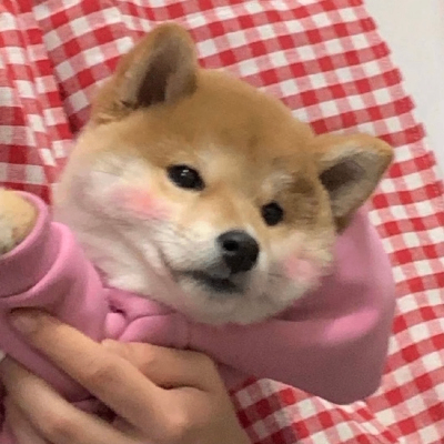 aaer (aaerryu.lens) Lens social identity (.lens handle) PFP