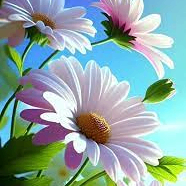 gnac (duxov.lens) Lens social identity (.lens handle) PFP