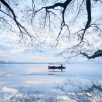 qpwrgcv (qpwrgcv.lens) Lens social identity (.lens handle) PFP