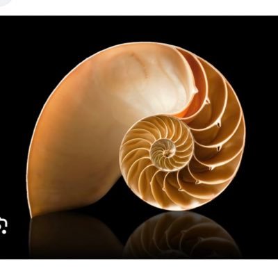 MakingFranklins (makingfranklins.lens) Lens social identity (.lens handle) PFP