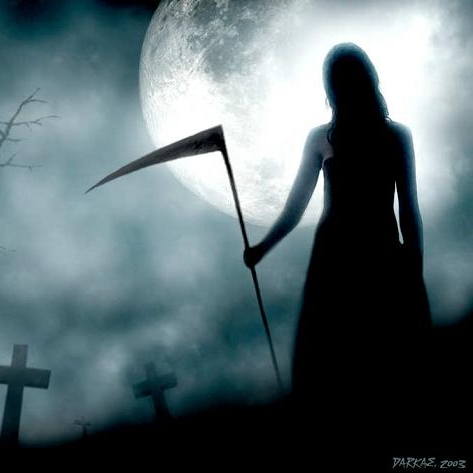 Jessy (darciecircmi1.lens) Lens social identity (.lens handle) PFP