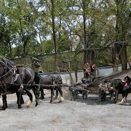 TamaraT37450934 (tamarat37450934.lens) Lens social identity (.lens handle) PFP