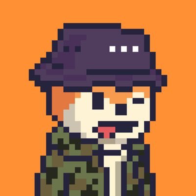 0xBravoo (28688.lens) Lens social identity (.lens handle) PFP