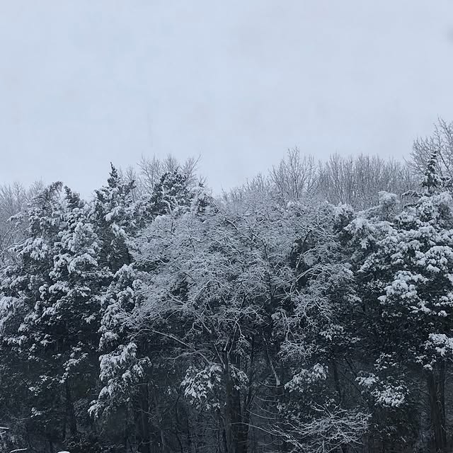 Aiden Blaze (takvim.lens) Lens social identity (.lens handle) PFP