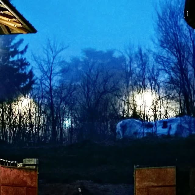 Linguistic Harmony (v3cdn.lens) Lens social identity (.lens handle) PFP