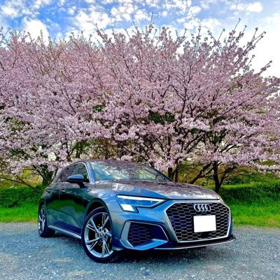 Audi_A3SB_Sline (audia3sbsline.lens) Lens social identity (.lens handle) PFP