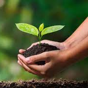 fidan (fidan.lens) Lens social identity (.lens handle) PFP